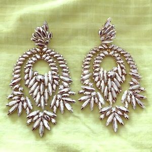 💎 BCBG Maxazria Roxie Collection Earrings